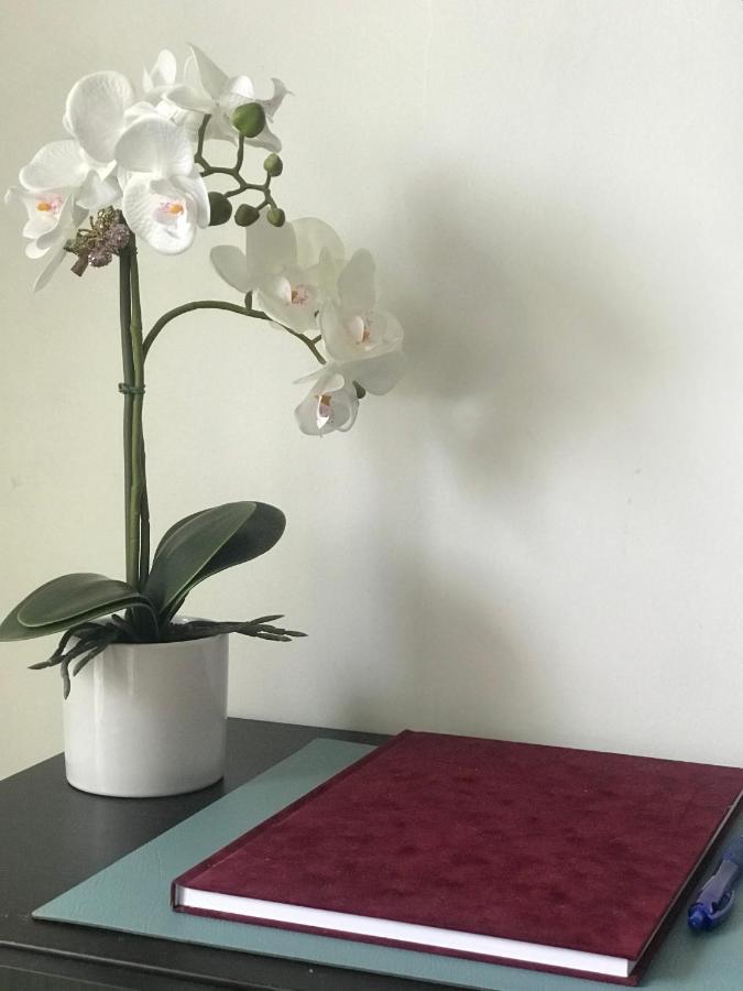 Greatforest Rosehill 1 Apartman 데브레첸 외부 사진